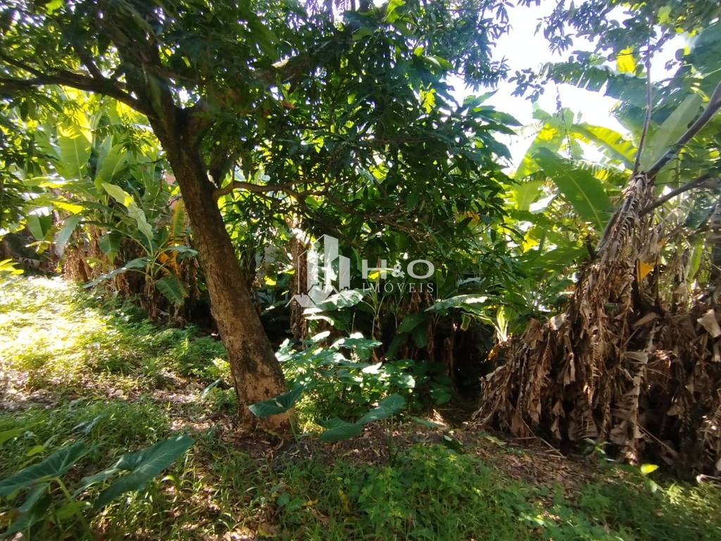 residential-/-home-2-quartos-400m2-vila-paranagua-sao-paulo-sp