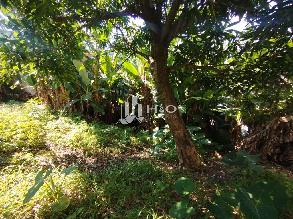 residential-/-home-2-quartos-400m2-vila-paranagua-sao-paulo-sp